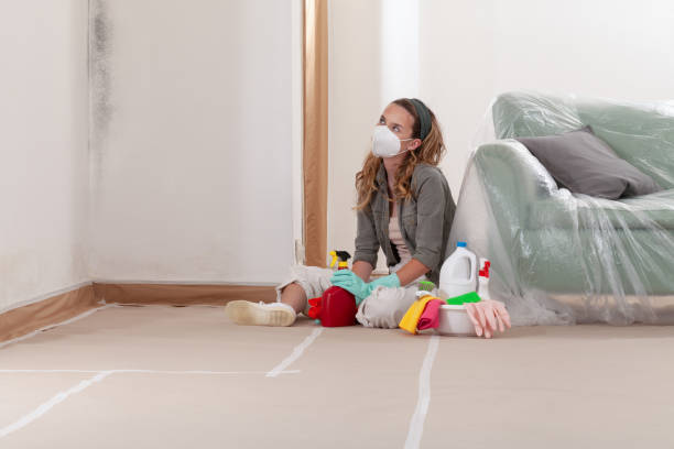 Reliable Mold Remediation contractor in Owings Mills, MD by 24 Hour Mold Removal